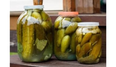 kiek ilgai atidaryti marinuoti agurkai