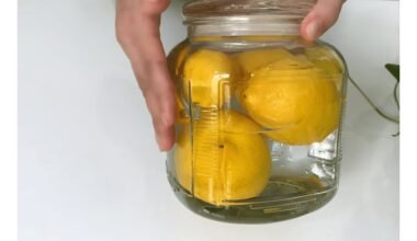 stiklainis raugintų citrinų kvepia gaiviai