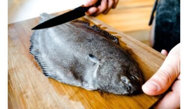 mažiau žinomos žuvys sveikesnės už lašišą