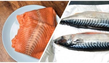 skumbrė pranoksta lašišą mitybos požiūriu