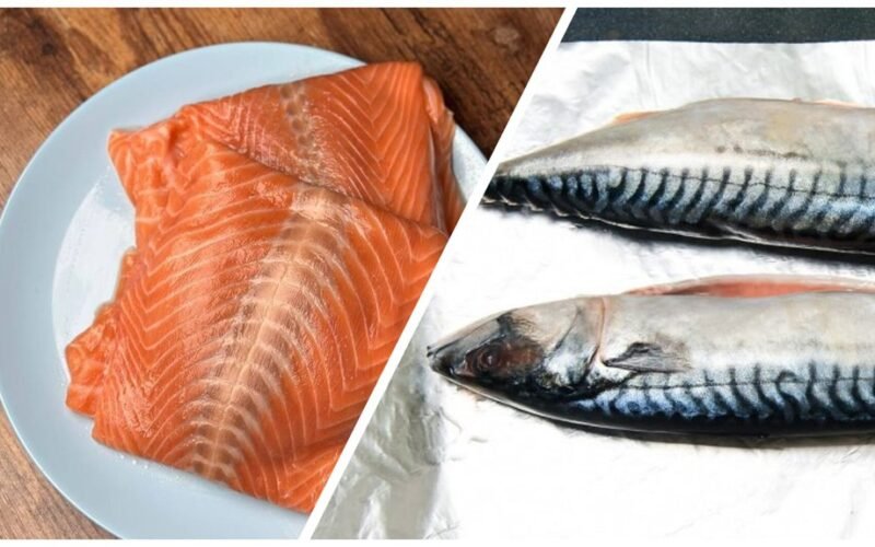 skumbrė pranoksta lašišą mitybos požiūriu