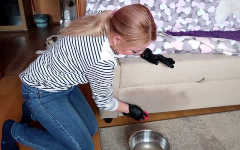 ištirpęs šokoladas išvalytas su kepimo soda