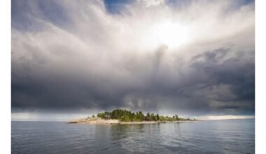 Nuosava Švedijos sala, nemokamas skrydis