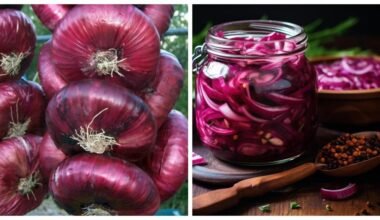 marinuoti turkiški raudonieji svogūnai