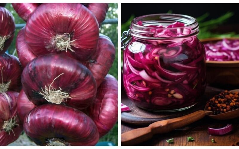 marinuoti turkiški raudonieji svogūnai