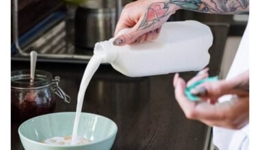 bulvių pienas kyla kaip alternatyva