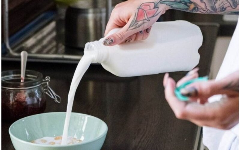 bulvių pienas kyla kaip alternatyva