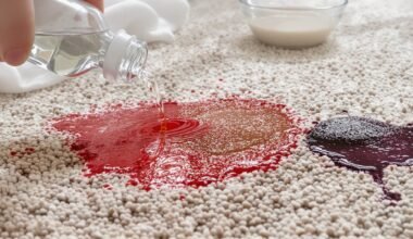 pašalinti raudono vyno lūpdažio dėmes