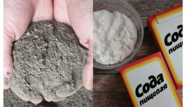 smėlio gerinimo trąšų mišinys