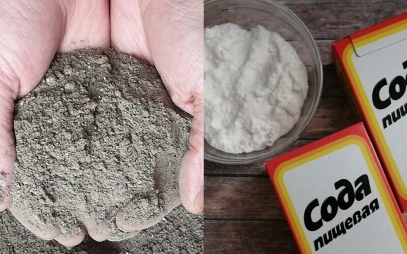 smėlio gerinimo trąšų mišinys