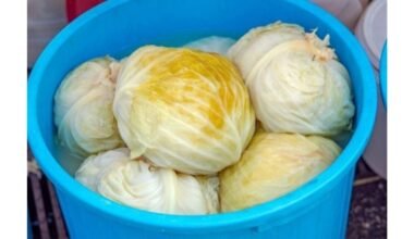 rauginti kopūstai putoja pridėti druskos