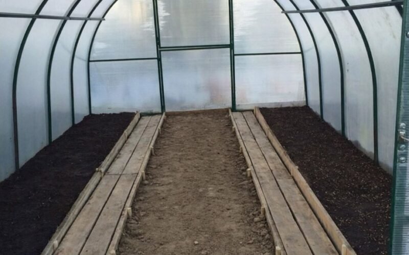 išgelbėkite šiltnamį nuo piktžolių