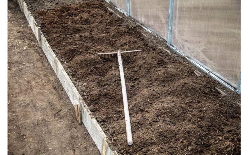 septyni daržovės niekada neužmegztos