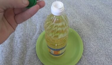 užterštų maisto kepimo aliejų požymiai