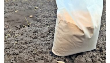 pavasarinis dolomitas naudojimo vadovas