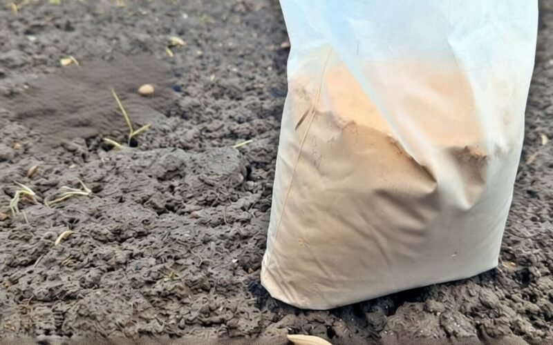 pavasarinis dolomitas naudojimo vadovas