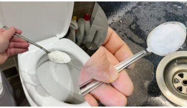 trys šaukštai santechnika