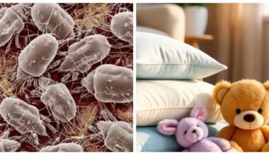 paverskite rūką dezinfekantu