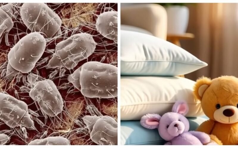 paverskite rūką dezinfekantu