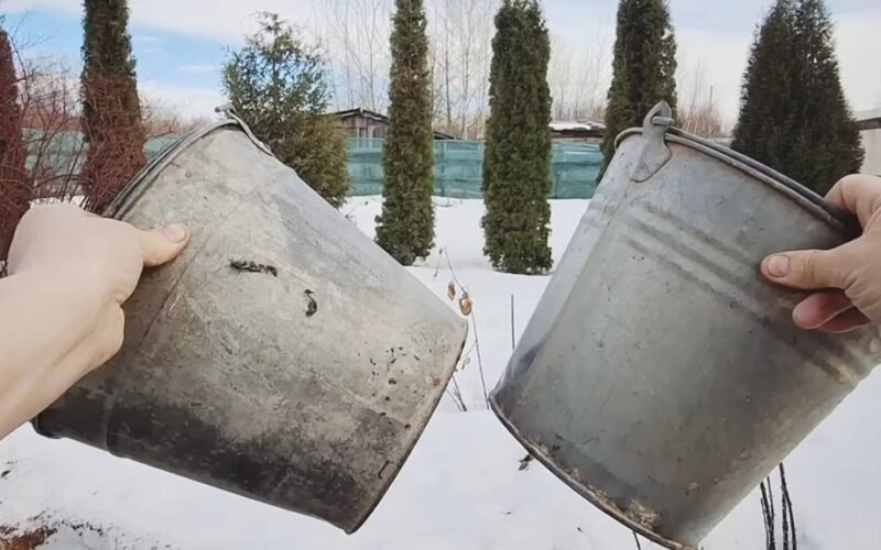 paversk senus kibirus lobiais