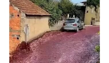 Vyno upė užlieja miestelį