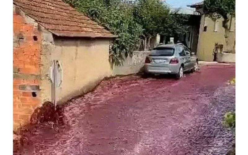 Vyno upė užlieja miestelį