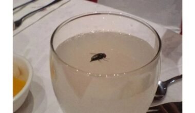 Kas nutinka, jei išgeri vieną?