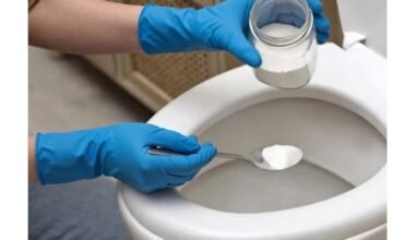 tualetas korozuoja vamzdyną užsikemša