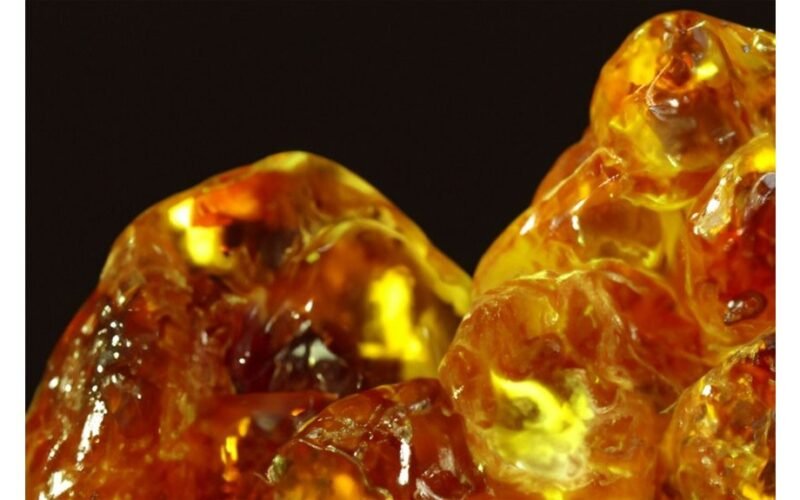 Gintaras rastas po Antarktida