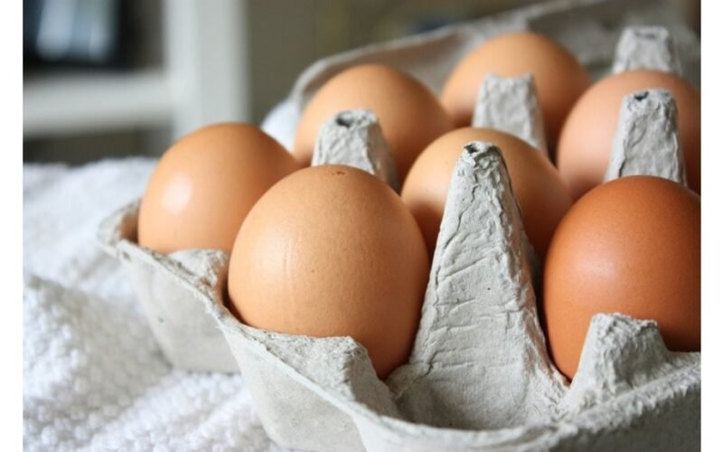 Harvardo gydytojas suvalgė 720 kiaušinių