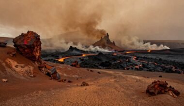 kruviniausias išnykimas istorijoje