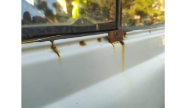namų priemonės pašalinti rūdžių dėmes