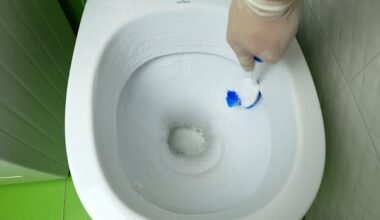 tualeto balinimas sutaupo šimtus