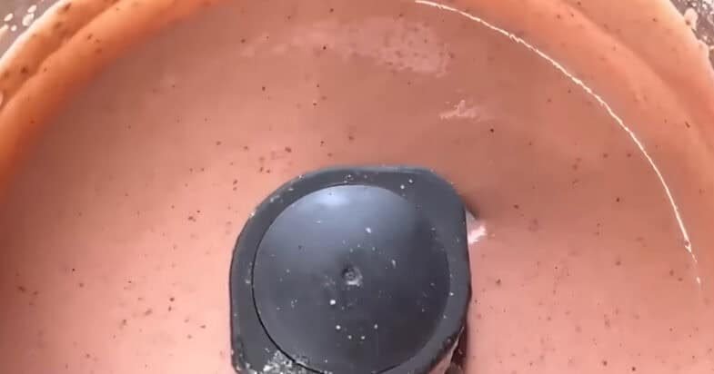 braškių ir riešutų užtepėlė žingsnis 1