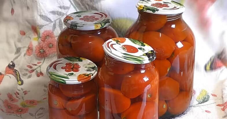 Pomidorai stiklainiuose prieš užpilant marinatu