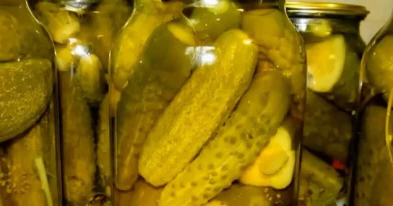 Paruošti marinuoti agurkai
