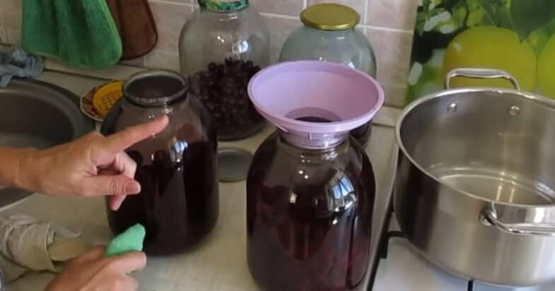 Vyšnių kompoto pirmas žingsnis