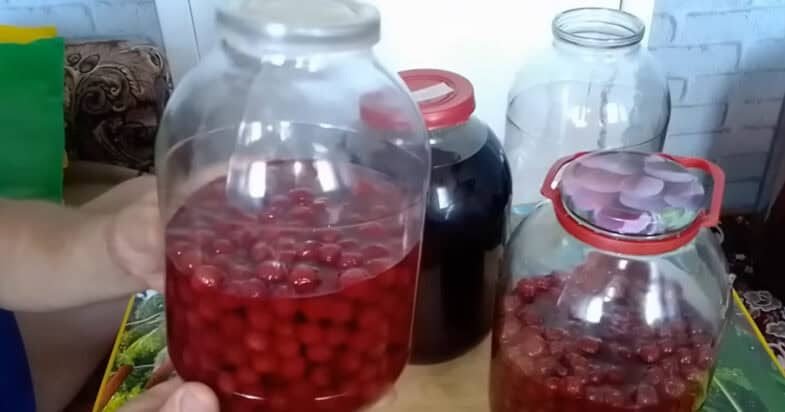 Nulietos vyšnios stiklainiuose