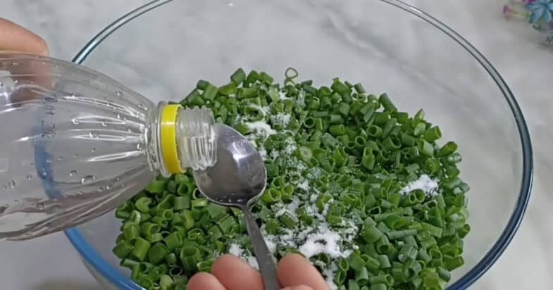 Žalių svogūnų laiškų pirmas žingsnis