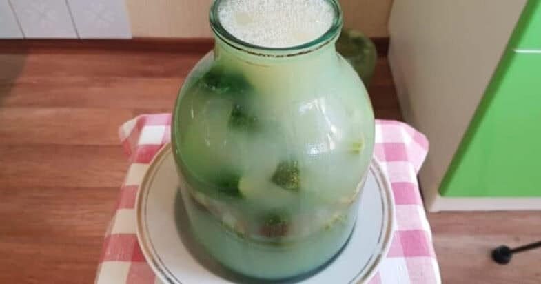Sūrymas agurkams