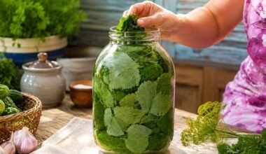 Fermentuota aviečių lapų arbata