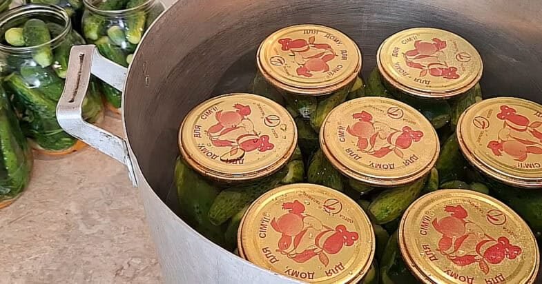 Stiklainis su agurkais, morka, svogūnu ir krapais