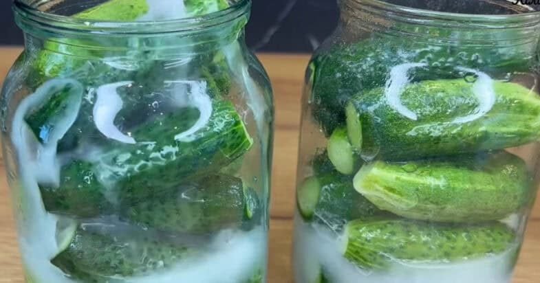 Agurkai su užpilu prieš fermentaciją