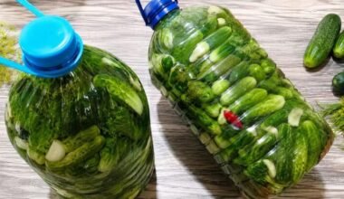 Traškūs sūdyti agurkai plastikinėje talpoje