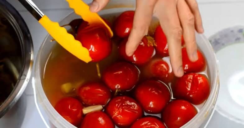 Pomidorai ir žalumynai