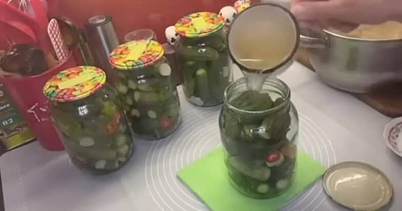 Agurkai su prieskoniais stiklainyje prieš pirmą užpylimą