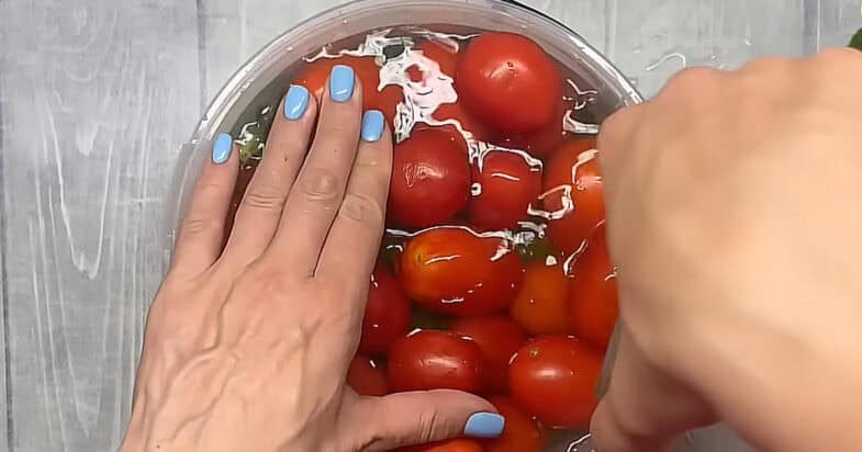 Pomidorai kibire su krienų lapais