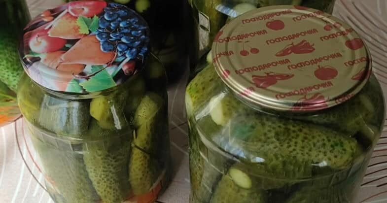 Agurkai su morkomis, trečias vaizdas