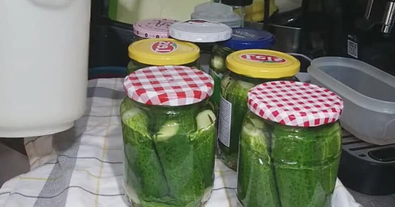 Į stiklainius sudėti agurkai