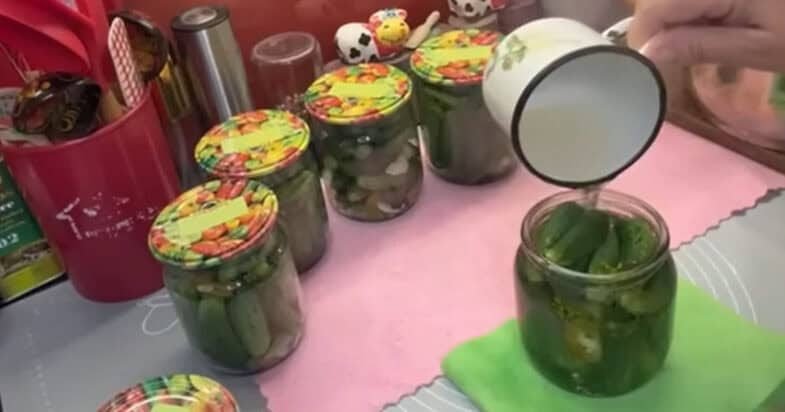 Traškių agurkų pirmas žingsnis